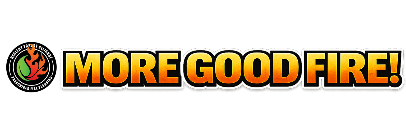More Good Fire Program